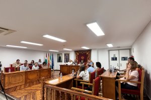 Imagen de la sesión plenaria en la que se ha aprobado el nombramiento.