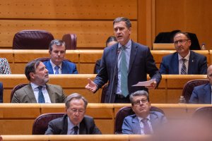Miguel Ángel Castellón en el Pleno del Senado.