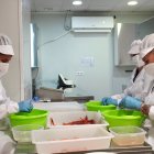 Las gambas del carpaccio de ‘Aquí Carboneras’ son peladas a mano con dedicación, siguiendo los valores de calidad del sello gourmet. /CLV