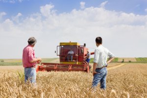 Factores como la inestabilidad meteorológica, la incertidumbre económica y la creciente presión política suponen un reto para los agricultores 