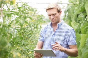 Software para una agricultura rentable y sostenible