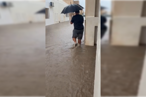 Imagen extraída del vídeo difundido por PSOE Almería.