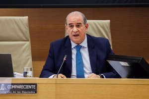 El director general de la Policía, Francisco Pardo Piqueras, comparece en una Comisión de Interior del Congreso de los Diputados.