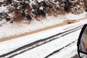 Carretera de Oria a Chirivel, el pasado viernes.