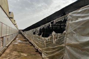 Daños en un invernadero.