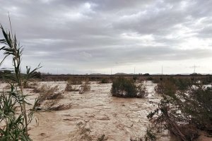 Crecida del río Almanzora.