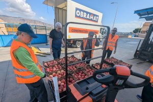 Recogida de fruta del nuevo programa en colaboración con Organizaciones Productoras de Fruta y Hortaliza.