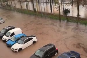 Bulevar de Vícar este lunes.