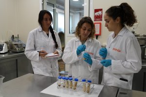 AINIA desarrolla nuevas proteínas sostenibles 