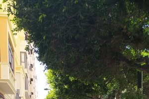 La Semana del Tomate, que ha tomado el Paseo de Almería, finaliza este viernes