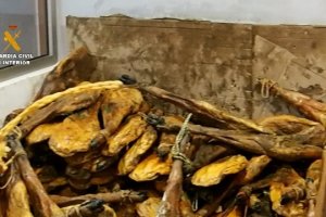 Se empleaba ilegalmente la imagen de la Denominación de Origen Protegida (D.O.P) Guijuelo.