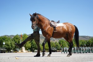 Desfile de la Caballería de la Legión