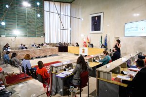 Vista general del Pleno.