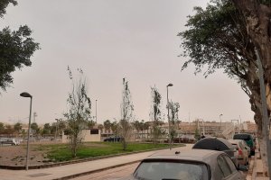 La calima vuelve a la provincia en esta jornada.