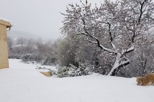 La nieve ha llegado a la provincia de Almería coincidiendo con el comienzo de esta semana.