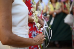 Nardos para la Virgen del Mar, patrona de Almería.