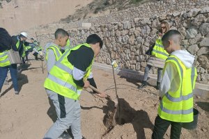 Chavales de sexto de Primaria plantando los membrillos