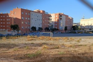 Así luce el campo desde la calle del Alcampo.
