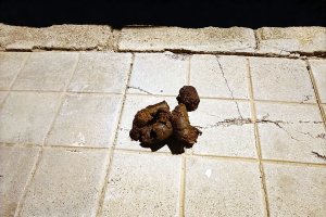Hay para elegir al sol y a la sombra.