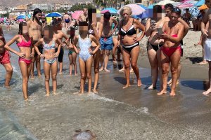 Bañistas observando a la medusa en la orilla de la Playa de San Miguel.