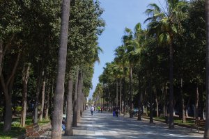 Avenida Federico García Lorca, la Rambla.