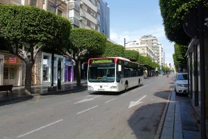 Autobús en el Paseo de Almería.