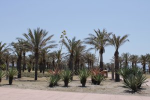 Urbanización del Toyo, Almería.