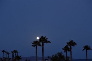La fotografía de esta espectacular luna llena fue alrededor de las 22 horas.