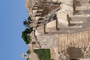 Muralla norte sobre la que se puede ver un ave posada