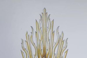 Las nuevas potencias han sido diseñadas por el almeriense Pablo Cortés del Pueblo.