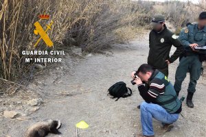 Del total, 2000 finalizan en confección de actas por infracción administrativa.