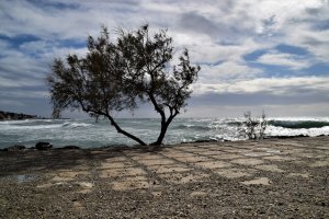 Alertas por fenómenos costeros en Almería capital.
