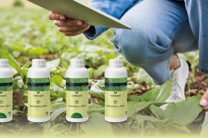 Algunos de los productos de la nueva línea BTN