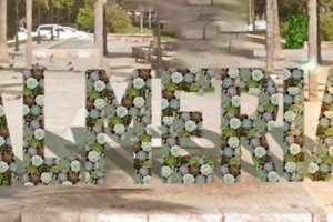 Diseño de la nueva jardinera para el Parque Nicolás Salmerón