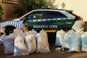 Imagen de la incautación de marihuana en el municipio almeriense de Paterna del Río.