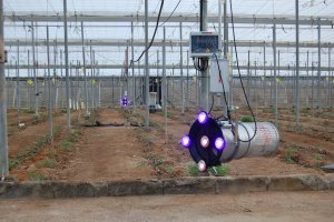 Biocaptur en un invernadero 