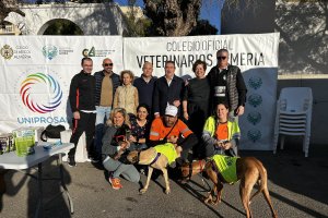 Participantes de la 'Marcha Saludable' junto a sus mascotas.