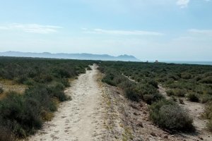 La Ciudad Deportiva del Almería se hará en El Toyo.