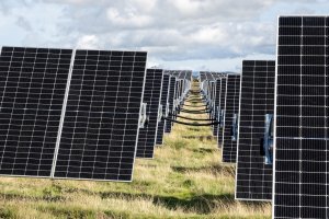 Planta solar.