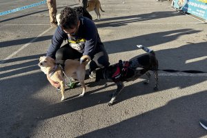 I Marcha Saludable de propietarios y mascotas.