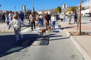 Celebración de San Antón en Huércal de Almería.