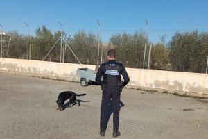 La Policía Local de Huércal-Overa está realizando una campaña de control y vigilancia de la recogida de excrementos.