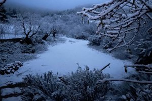 Paraje del término municipal de María en la mañana de este viernes. Foto: Lola Maestre.