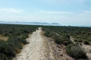 La Ciudad Deportiva del Almería se hará en El Toyo.