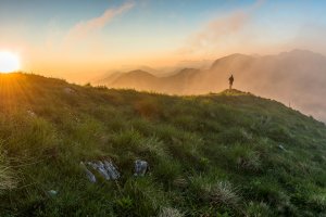 El objetivo de las rutas es conocer la vegetación, fauna o procesos que se han dado a lo largo de la historia / ENVATO