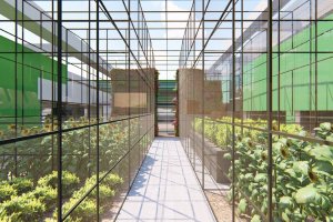 Interior del invernadero que se ha diseñado