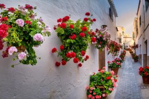 Este pueblo almeriense es una explosión de color y un escenario de postal.