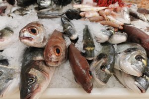 Besugos a la venta en una pescadería.