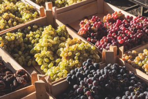 Diferentes variedades de uva colocadas en cajas.