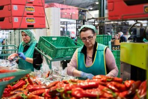 Mujeres  en un almacén hortofrutícola.